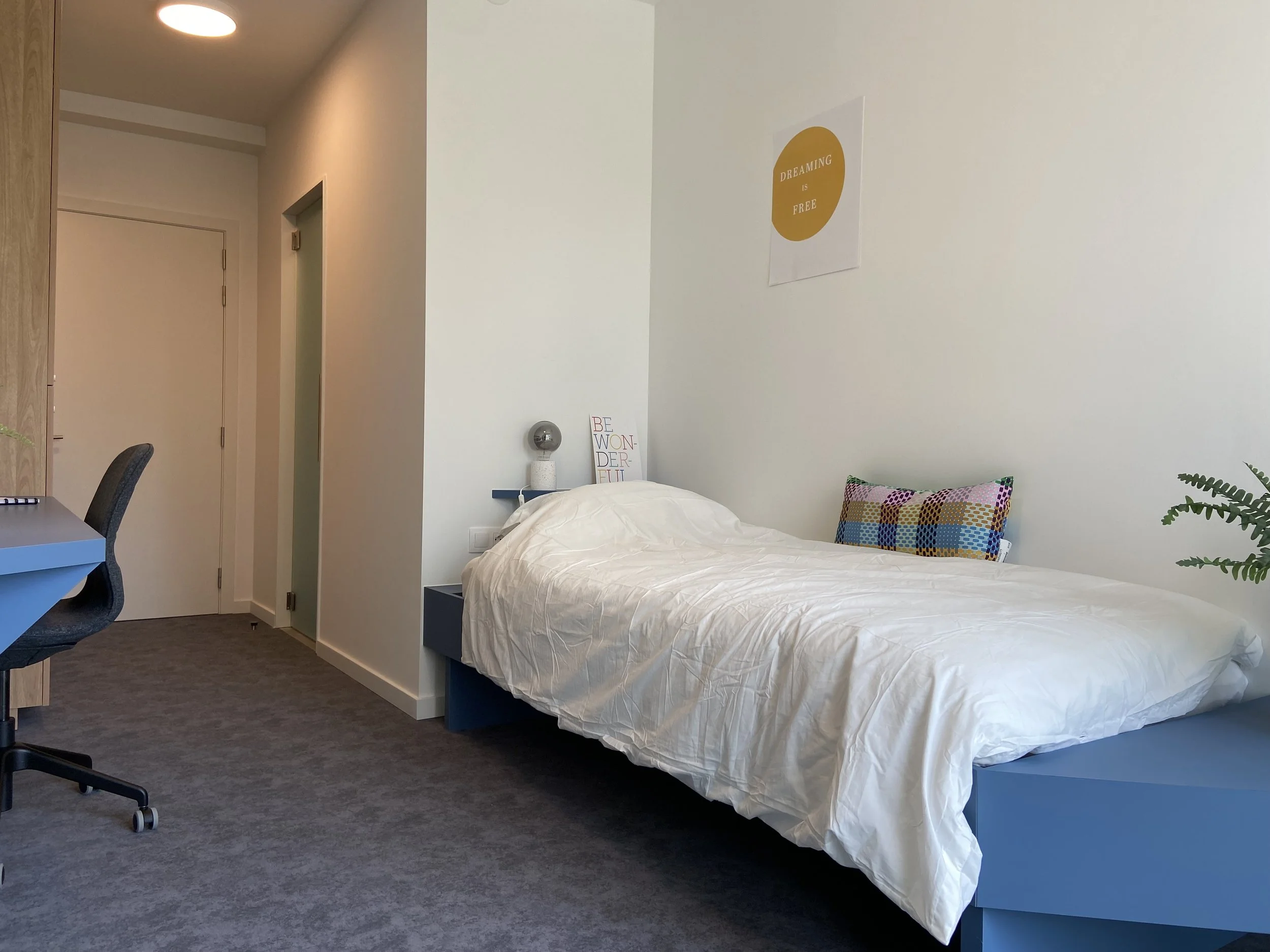 A bedroom with a white bed and a colorful pillow, a nightstand with a small lamp and a decorative piece, a wall art saying 'Dreaming is Free', a desk with a chair, a plant, and a closed door.