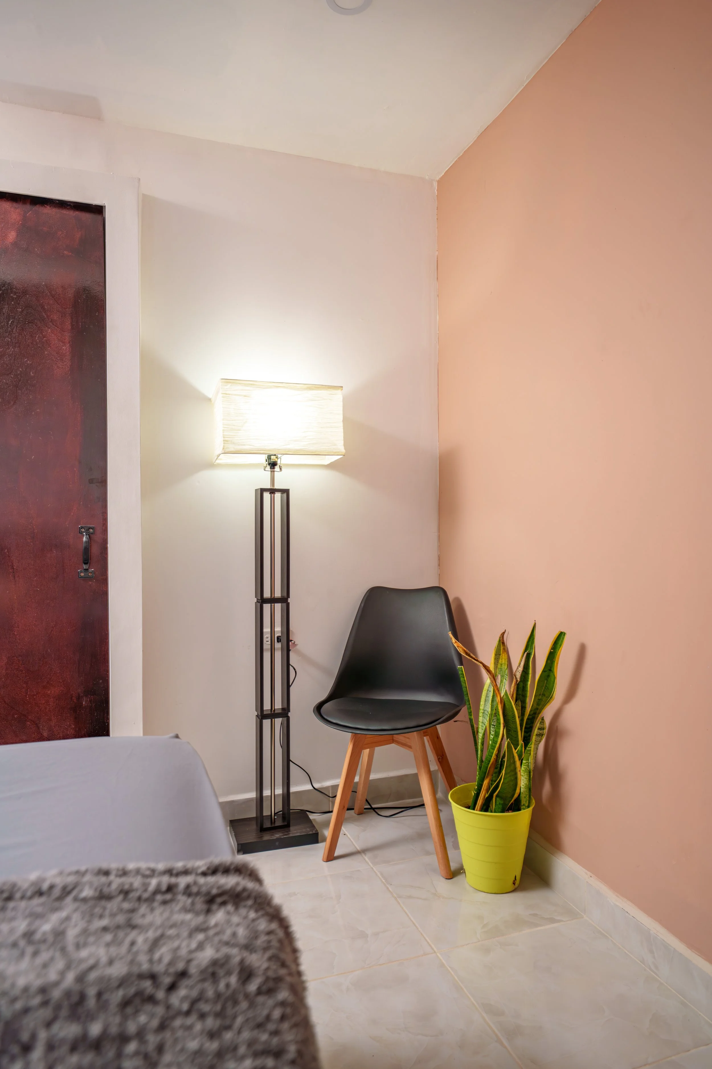 A corner of a room with a black chair, a tall floor lamp with a rectangular lampshade, and a potted snake plant with long, green leaves, against a pink and white wall.