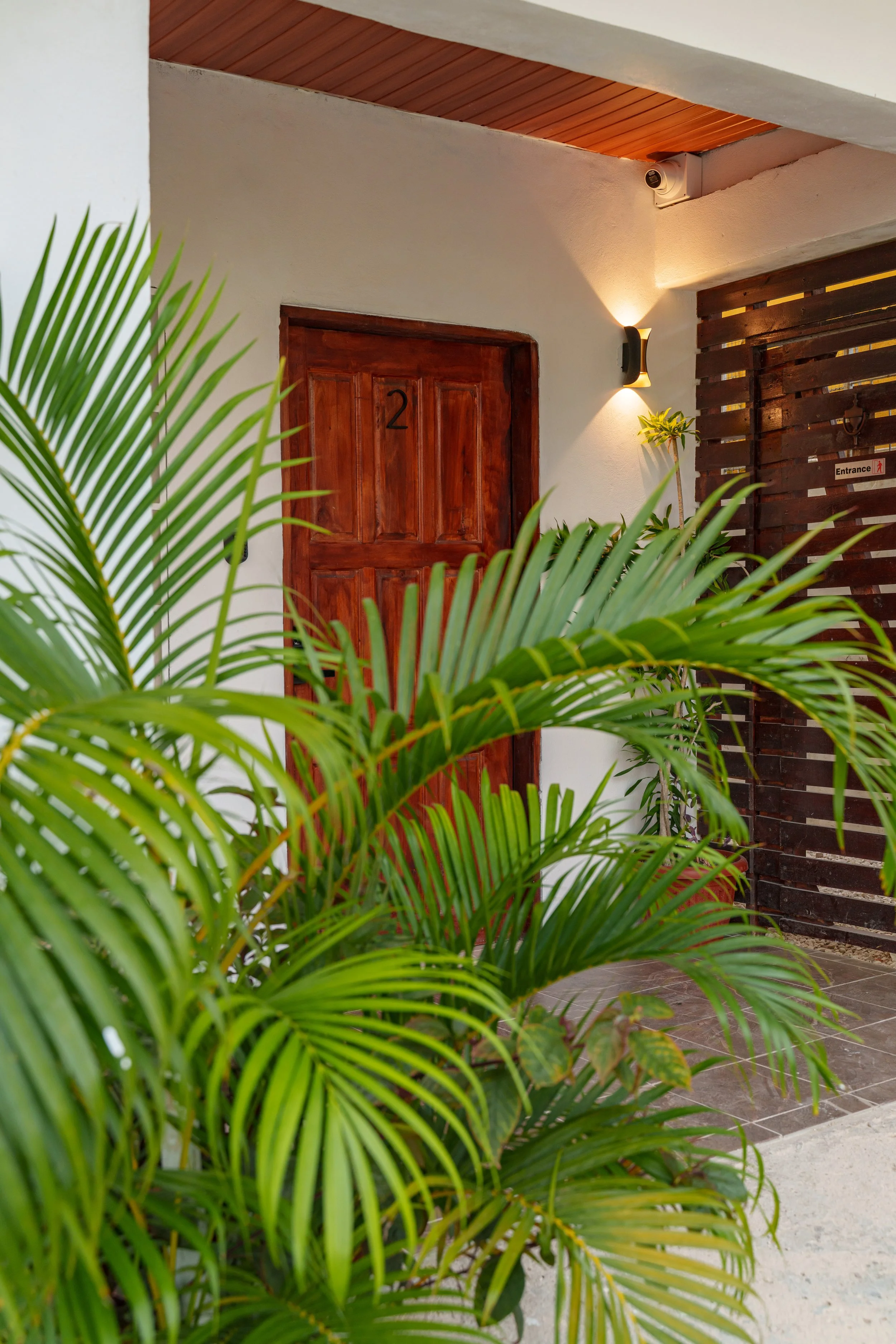A wooden door numbered 2 on a white wall, partly covered by green palm leaves, with an outdoor light fixture illuminating the area.