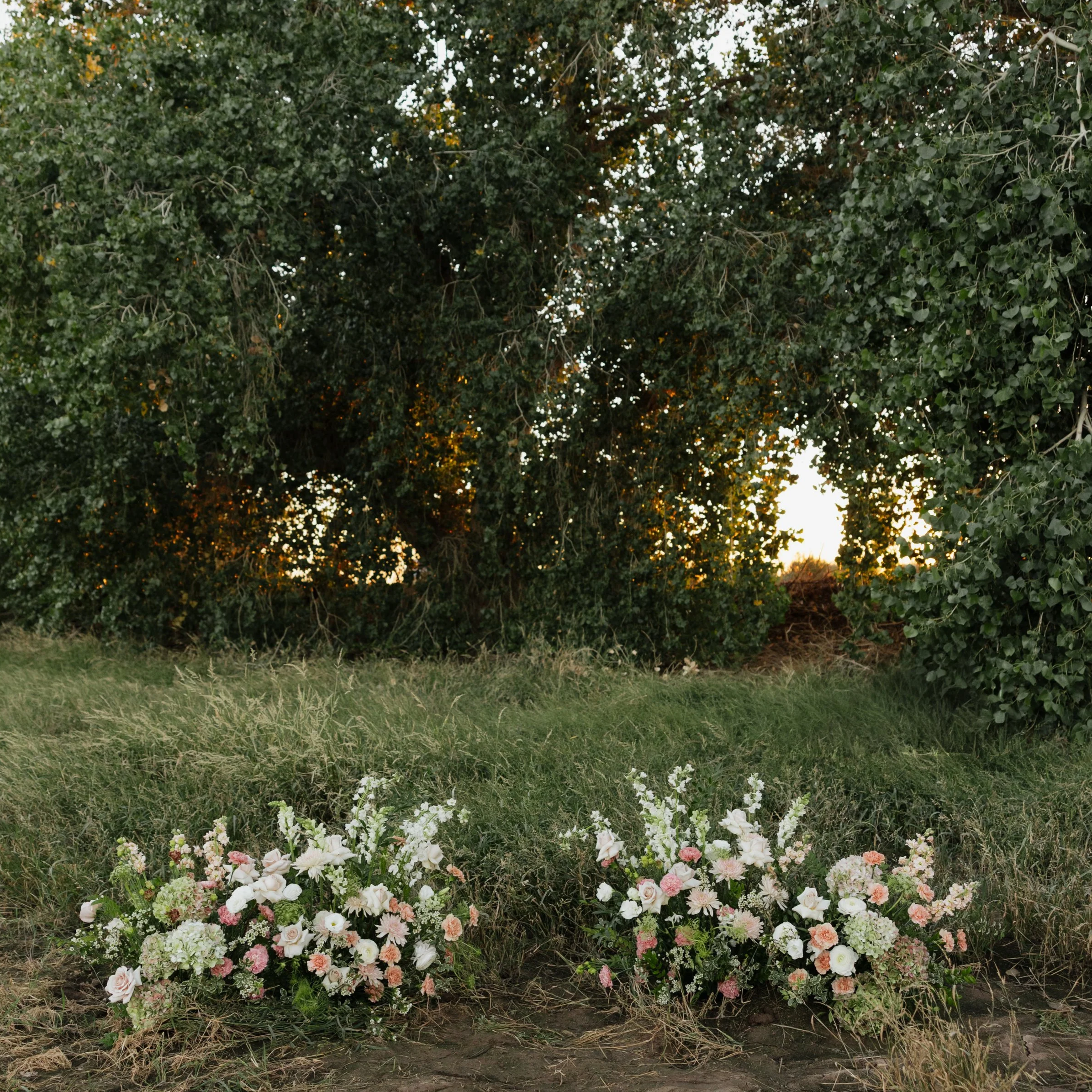 Two floral arrangements with pink and white flowers placed on the ground in front of a grassy area with a large tree and sunset in the background.