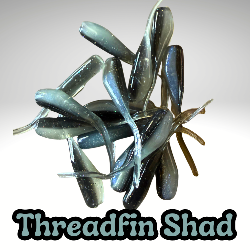 Threadfin Baby Shad.png