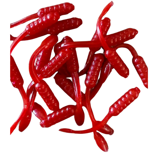 Untitled design (71).png