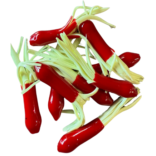 Untitled design (80).png