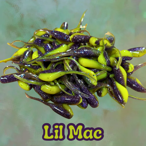 Winnr Minner (17).PNG