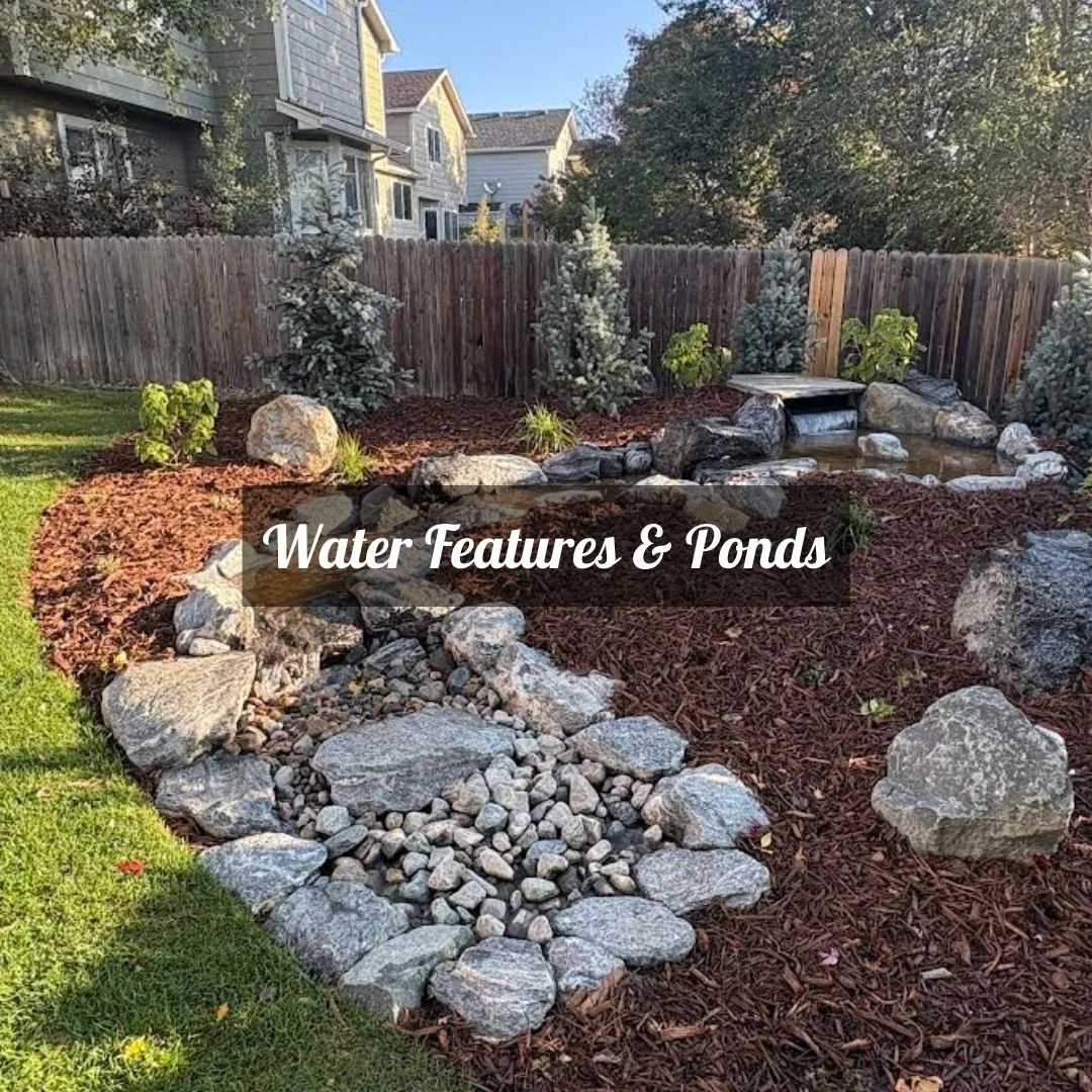Stunning crafted water features and ponds that bring tranquility and movement to outdoor living
