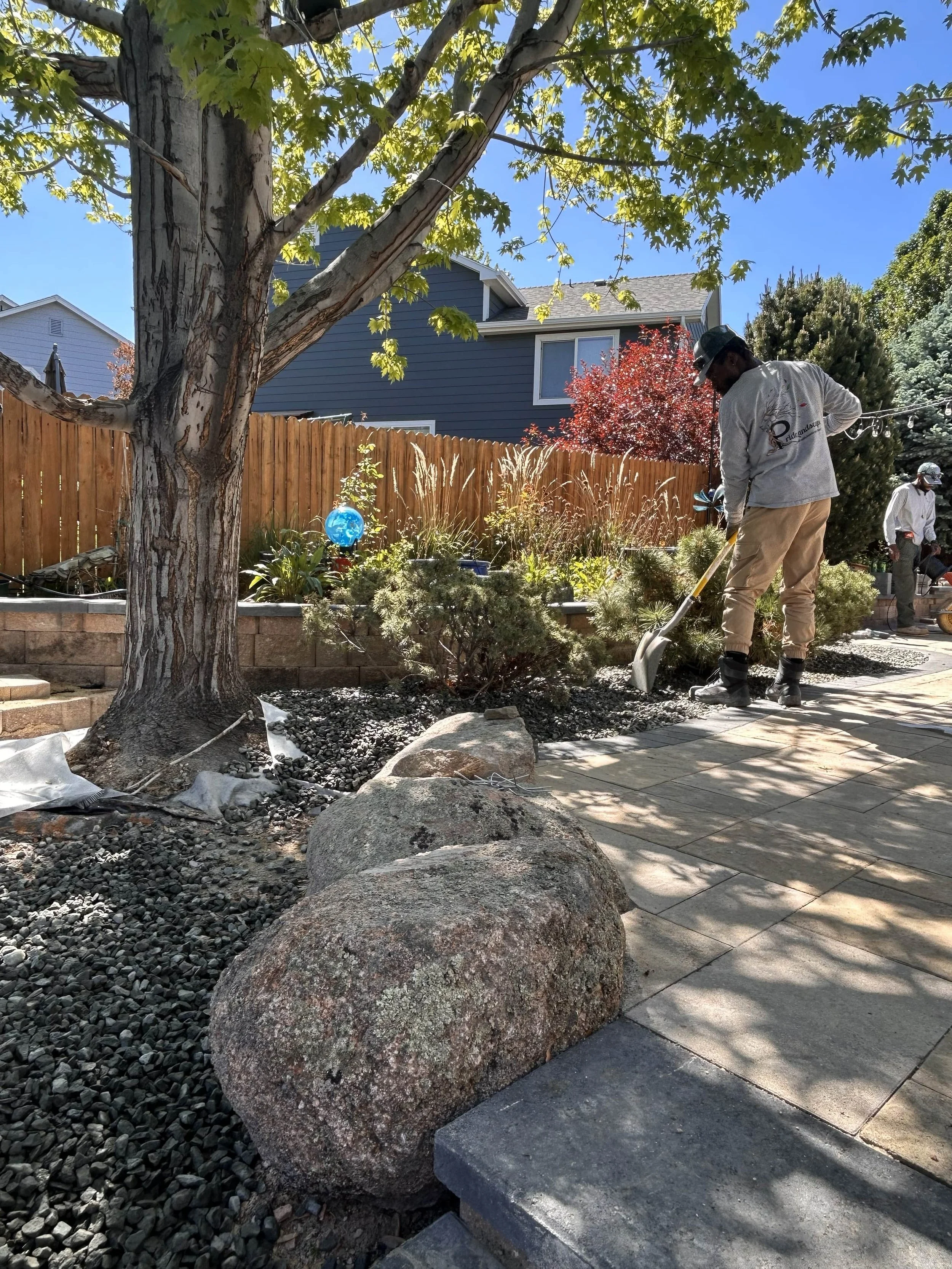 People working on landscaping in a backyard with large rocks, trees, bushes, and a paved pathway, under a clear blue sky.