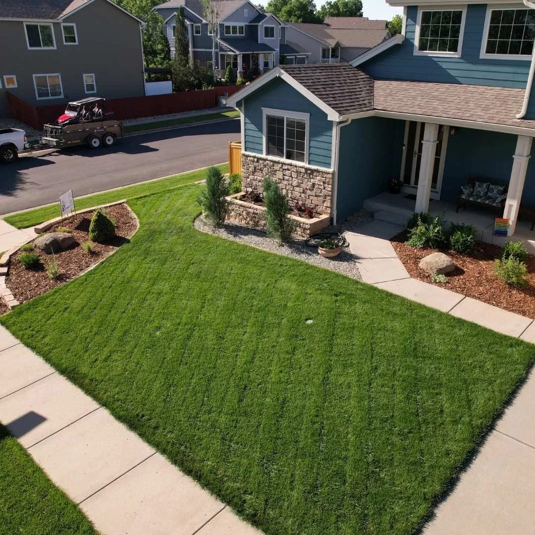 Sod Installation Fort Collins