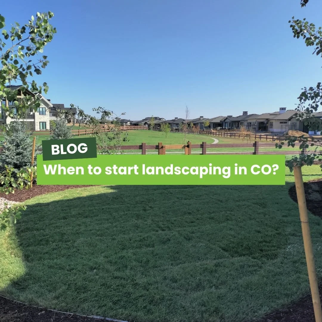 When is the Best Time to Start Landscaping Projects in Colorado?</span>