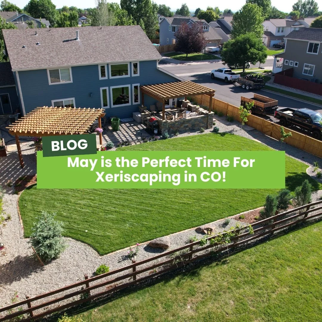 Why May is the Perfect Time for Xeriscaping in Colorado
