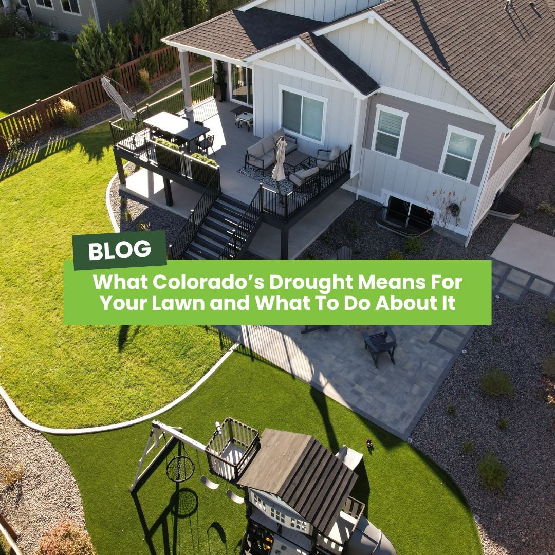 Smart Watering This Summer: A Northern Colorado Homeowner’s Guide