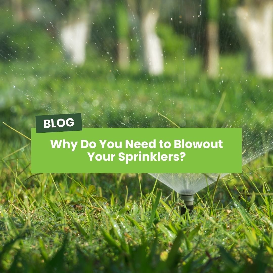 Why do you need to blow out your sprinklers?