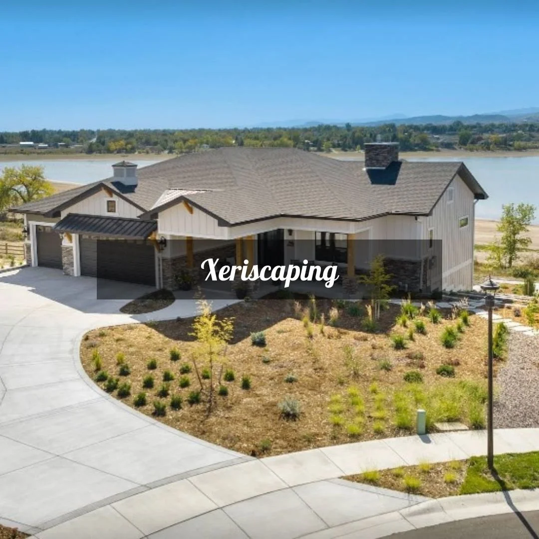 Thoughtfully designed xeriscapes that conserve water, reduce maintenance, and create a beautiful, sustainable outdoor space