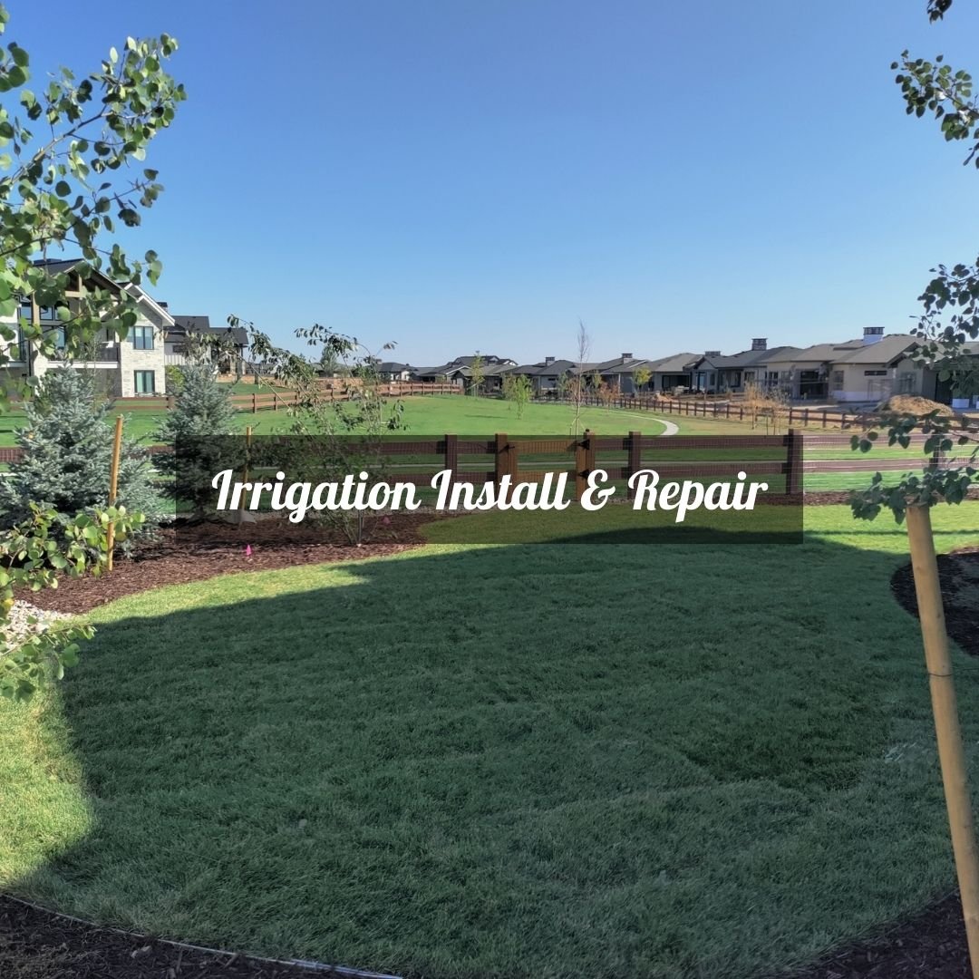Professional irrigation installation and repair services that keep your lawn and landscape healthy