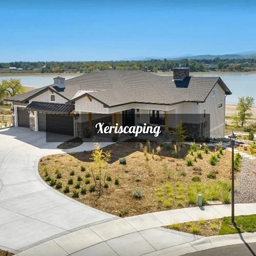 Thoughtfully designed xeriscapes that conserve water, reduce maintenance, and create a beautiful, sustainable outdoor space