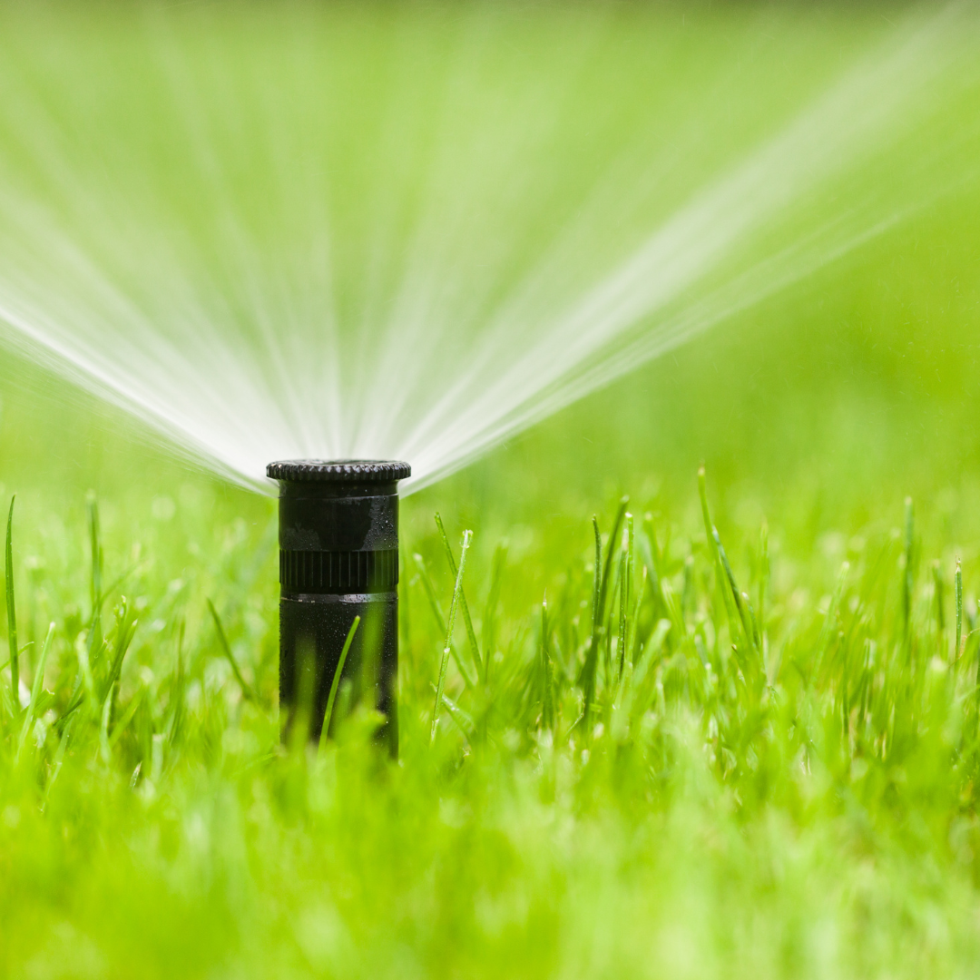 Colorado Sprinkler Blowouts