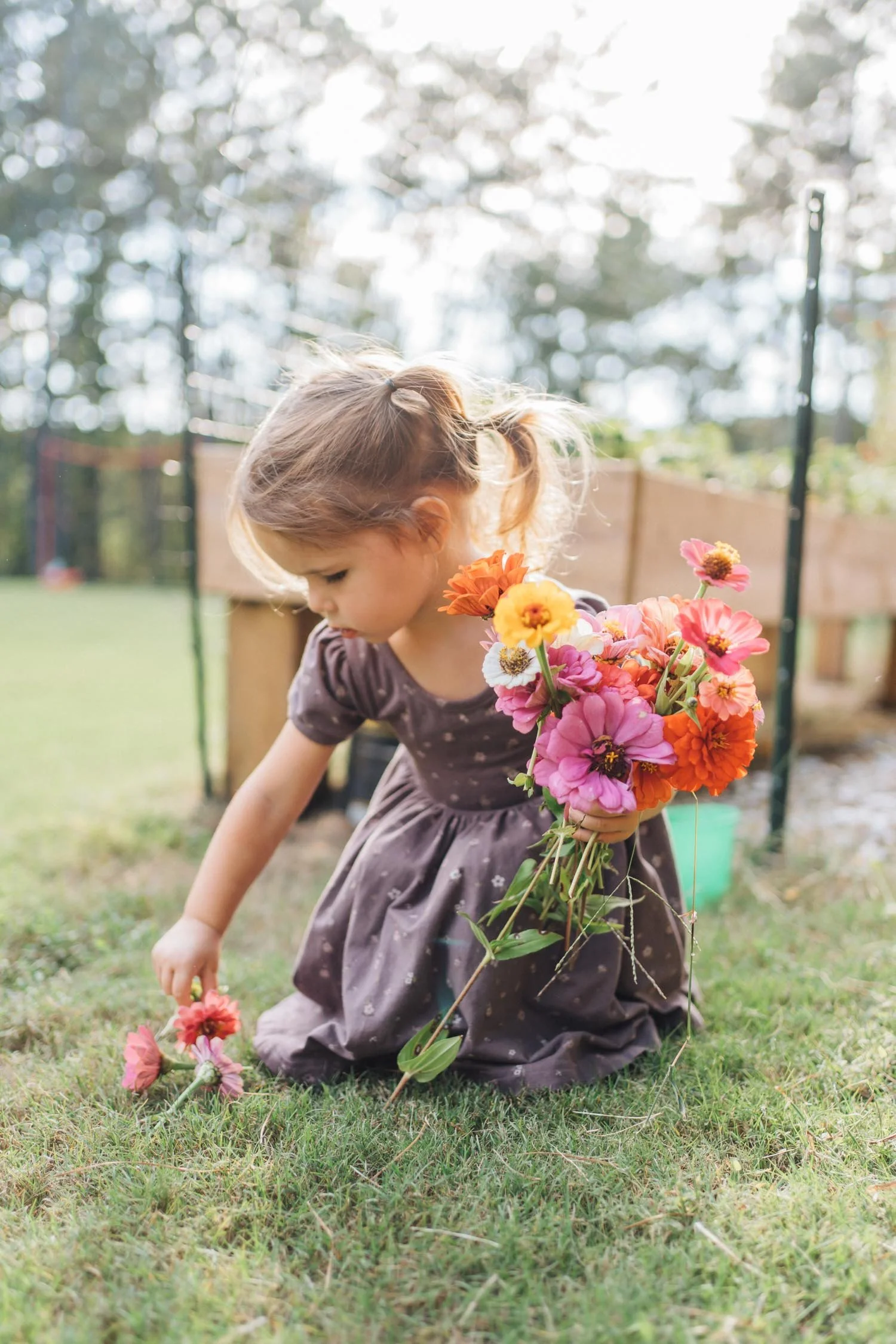 Young girl picking flowers from the ground in her backyard during a family photography session in Raleigh, NC.