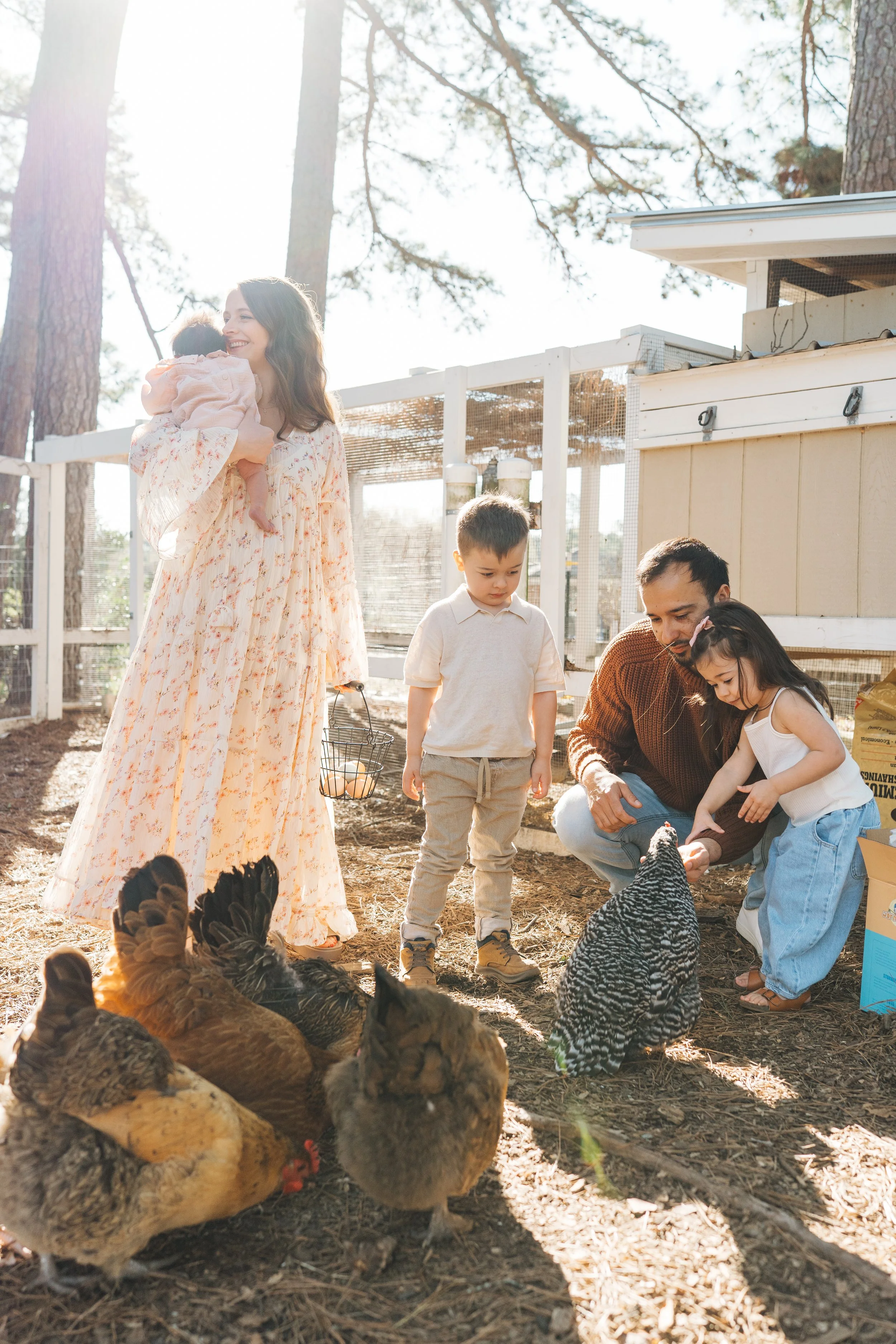 Family of five feeding chickens in backyard family photography in Raleigh, NC