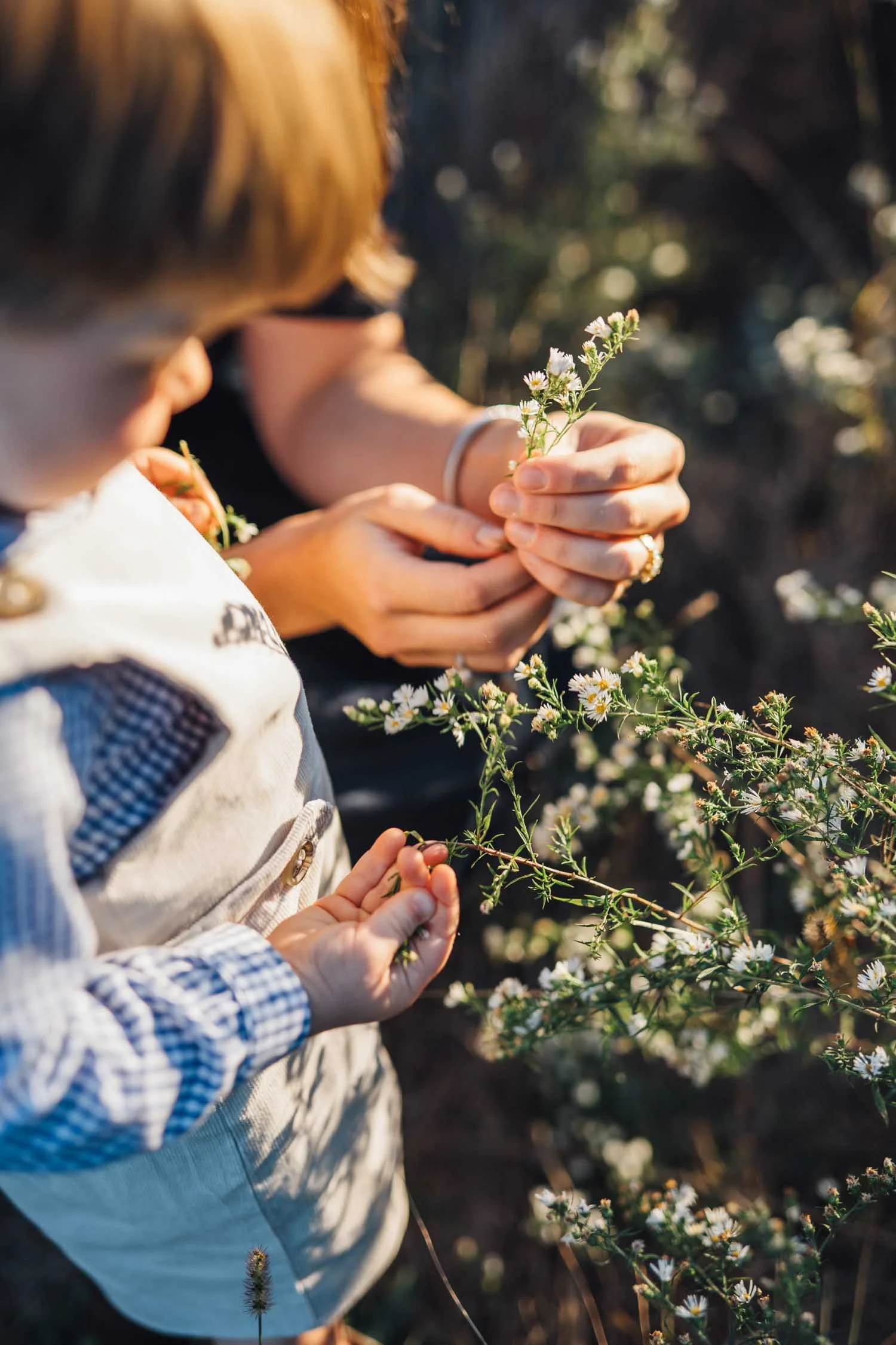 Close-up of a mother and son picking flowers together in bright sunshine during a family photography session in North Carolina.