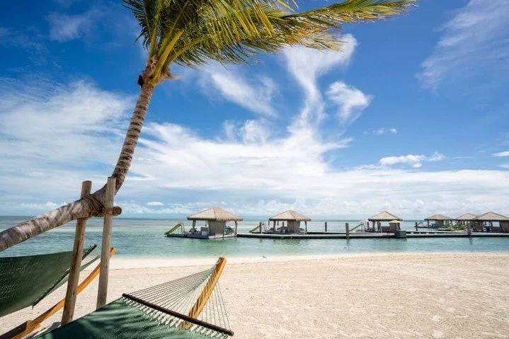 Drop an emoji in the comments to show how you&rsquo;d feel about a Caribbean getaway! ​🌴 🍹 🌊

When you're done, contact me to make it happen! 😉

(303) 525-6529
Magnolia Mountain Travel
twaldron@magnoliamountainco.com
http://www.magnoliamountaintr