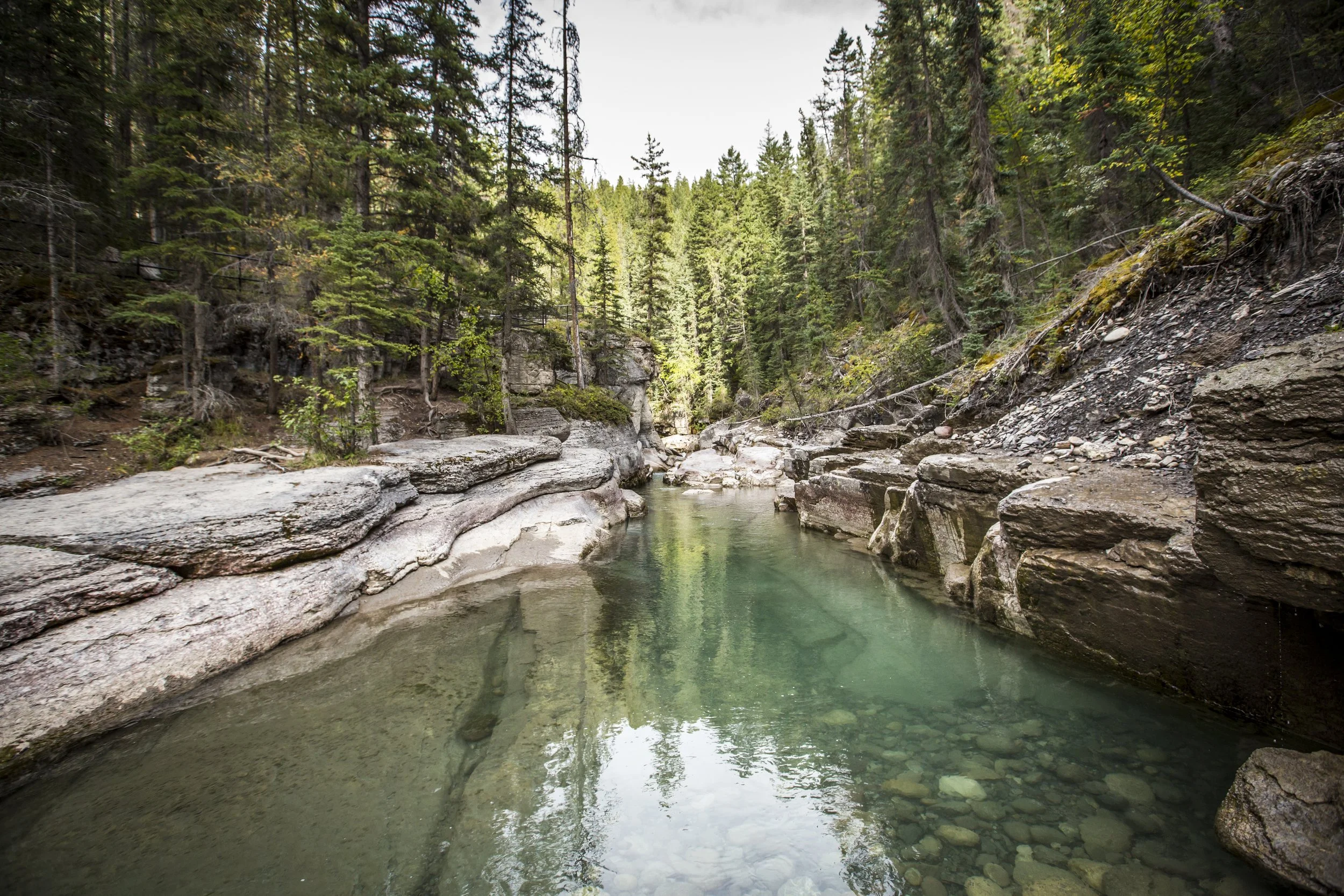 RM14_Jasper_Maligne-Canyon_1195_jpeg.jpg