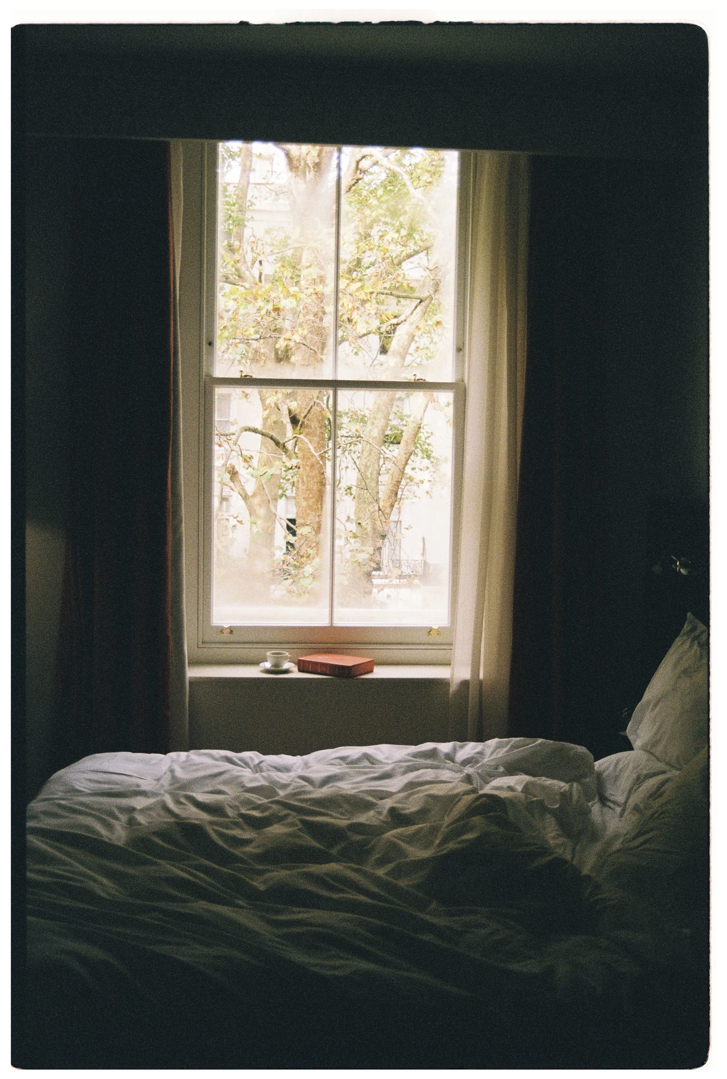 (film) Bellevue - Lex Duff8.JPG