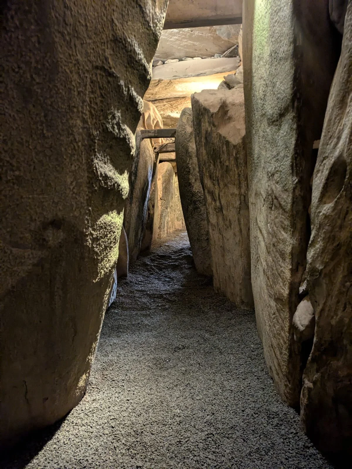 WhatsApp Image 2026-01-15 at 9.23.45 AM.jpeg