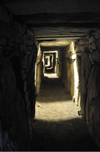 Screenshot 2026-01-20 at 8.53.12 PM.png