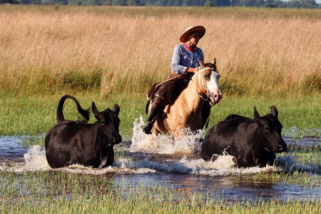 Postcards from Argentinian Paradise