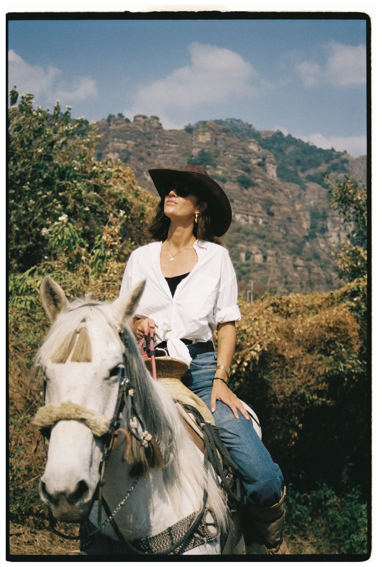 From the Archives: Don’t Let Your Horse to Move