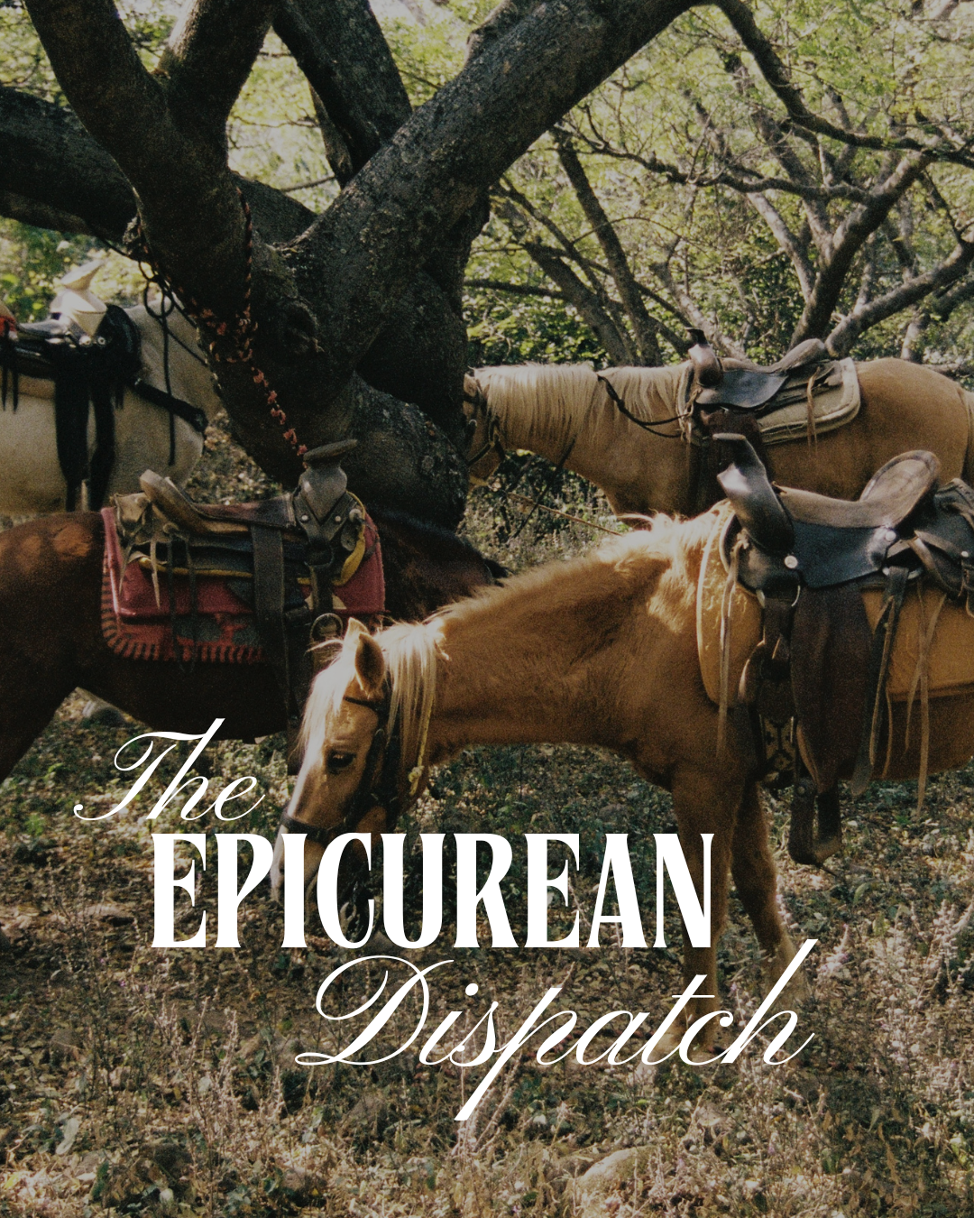 Three horses with saddles standing under a tree in a forested area, with the text 'The Epicurean Dispatch' overlaid.