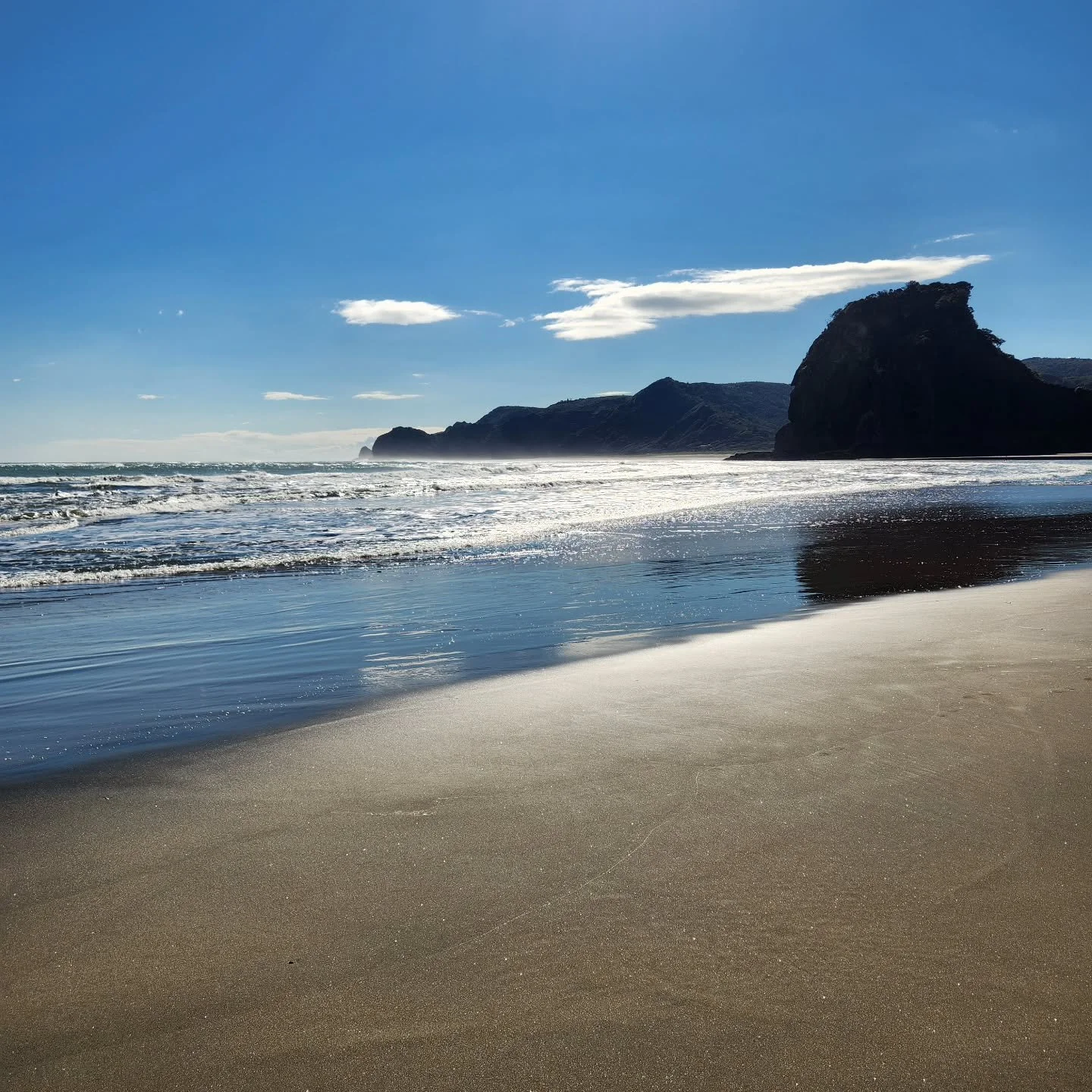 Piha in autumn 🌊