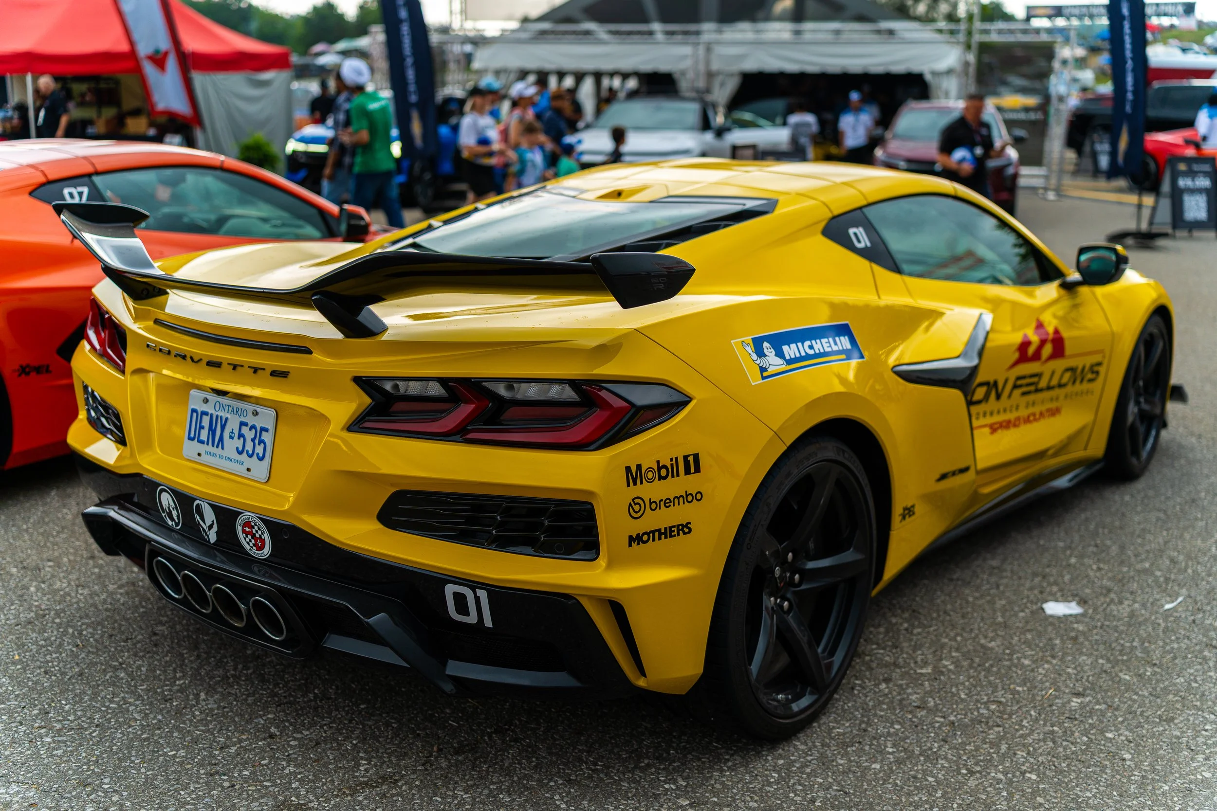 DSC03541.jpg