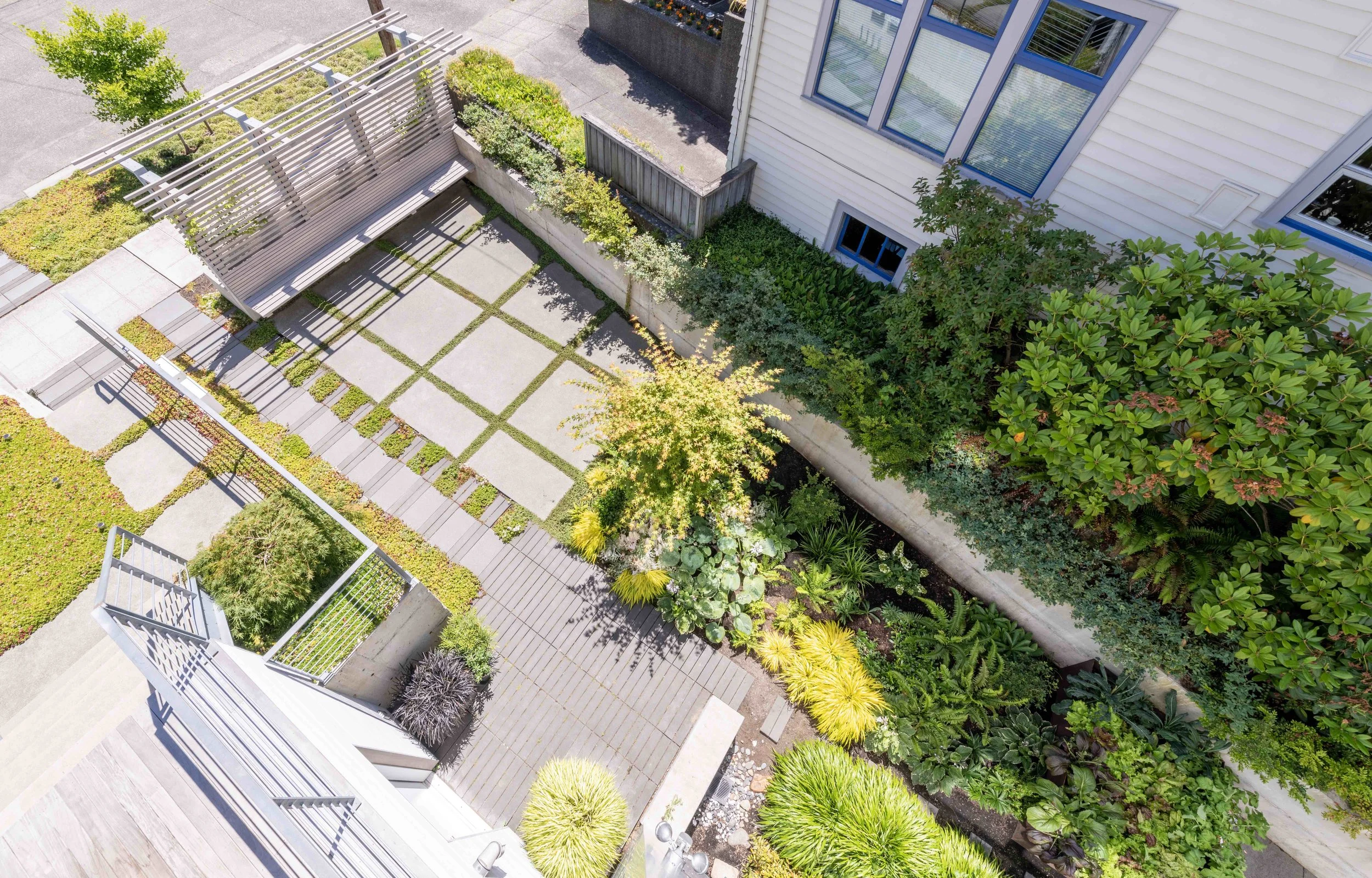 BUILD LLC CSH2016 Terrace 03 AvL SMALLER.jpg