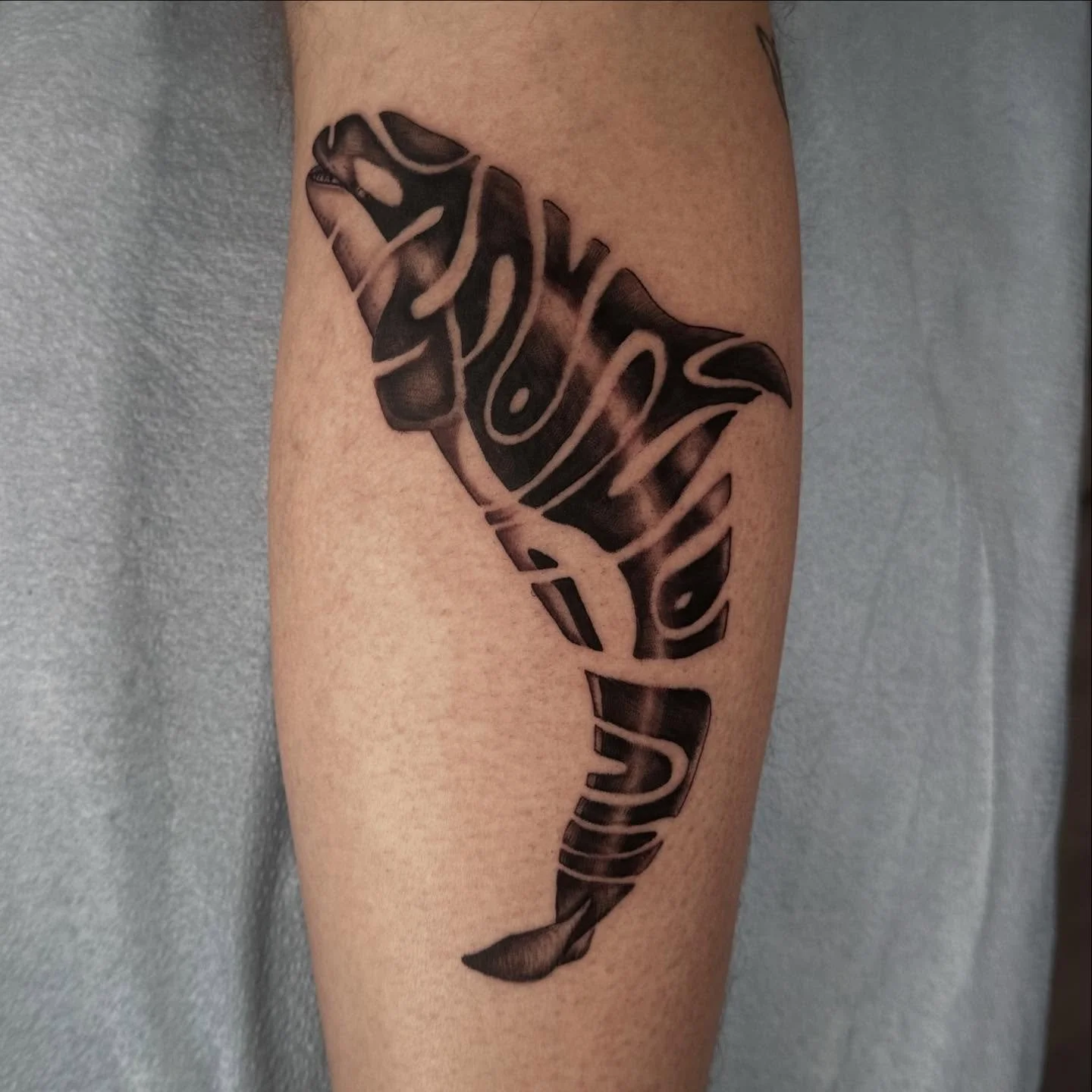 Orca for a cool new client, Thanks for bringing in a cool reference but letting me do my own thing. I appreciate the trust.