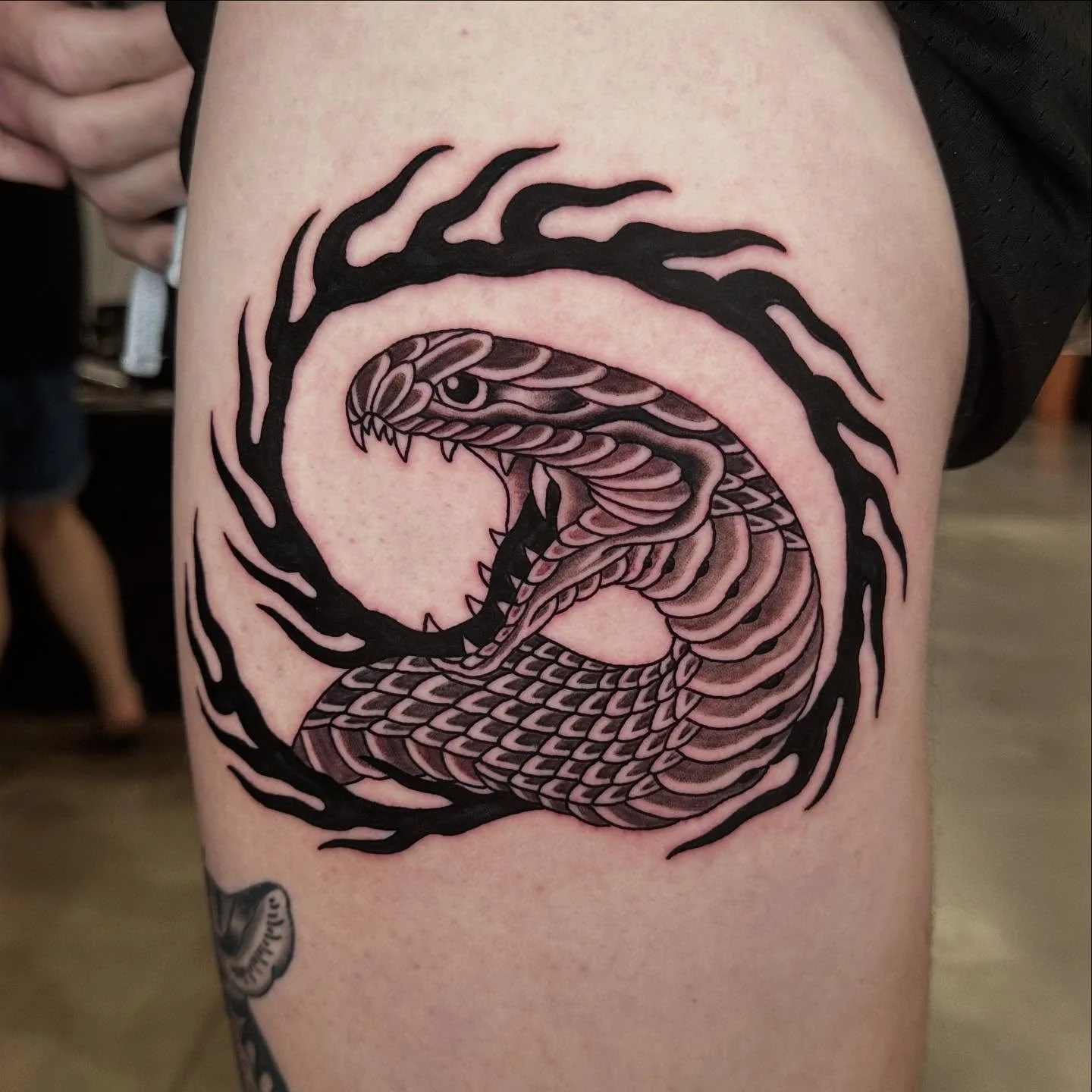 Here&rsquo;s the snake I took 1st place black and grey with @madisontattoofestival