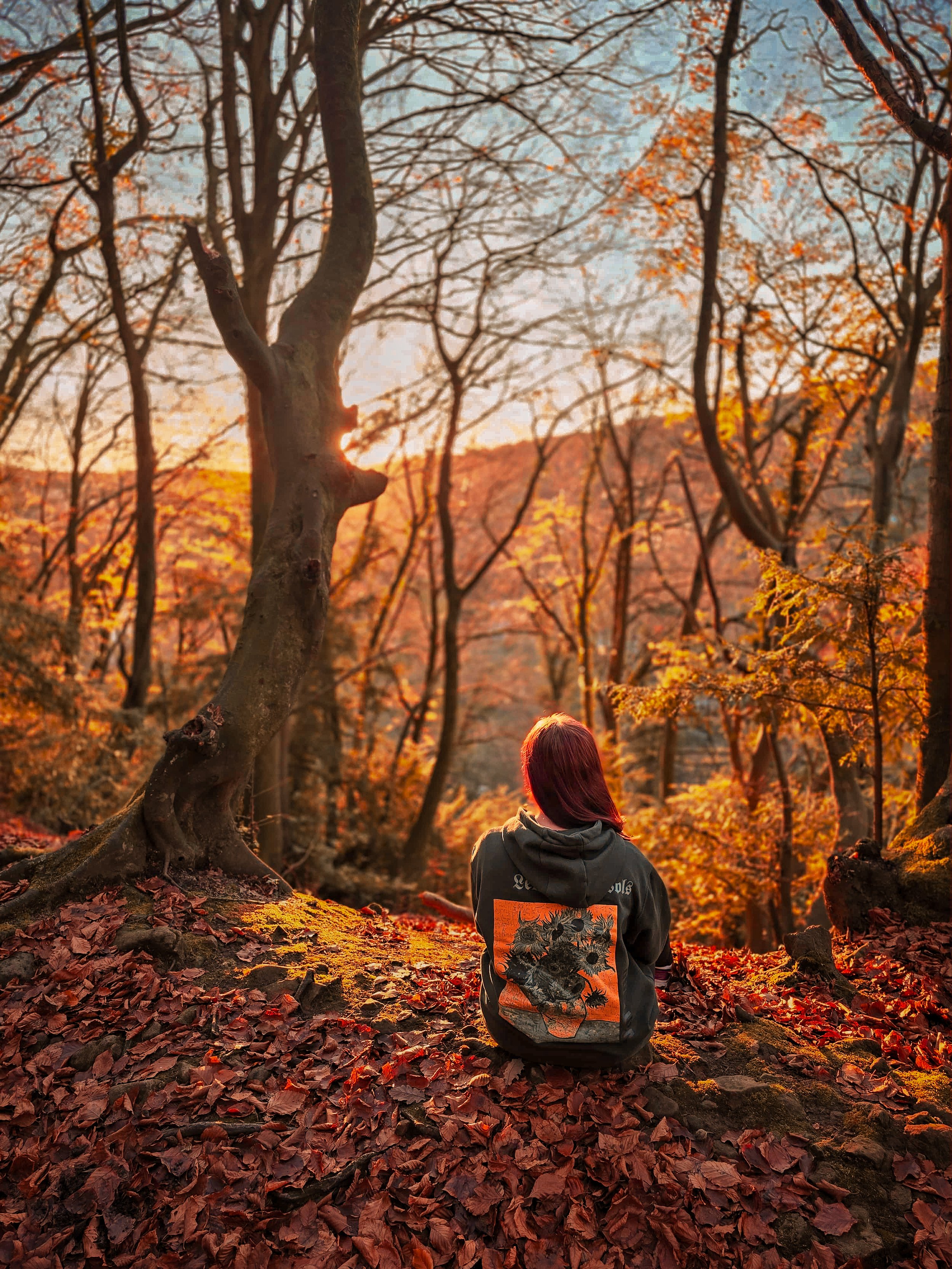 A person with long hair, sitting on a forest floor covered in fallen leaves, watching the sunset in a wooded area during autumn.