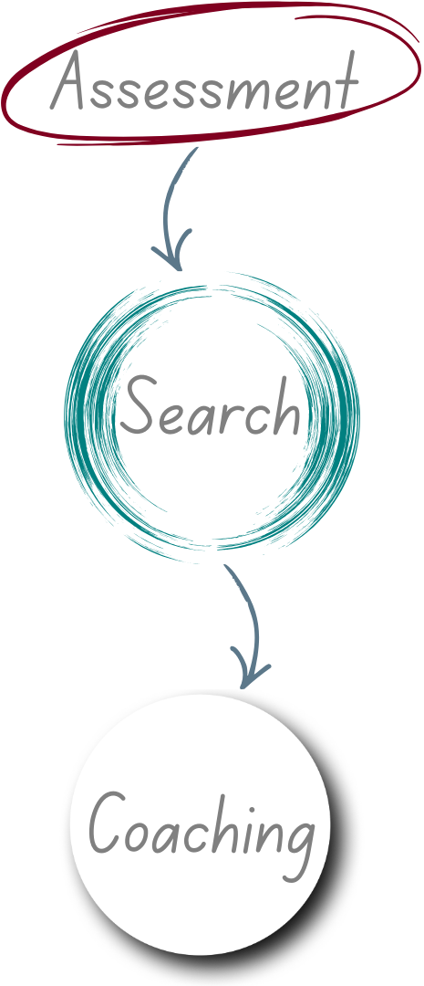 Flowchart illustrating a process with three steps: Assessment at the top, followed by Search in the middle, and Coaching at the bottom. Arrows connect the steps sequentially.