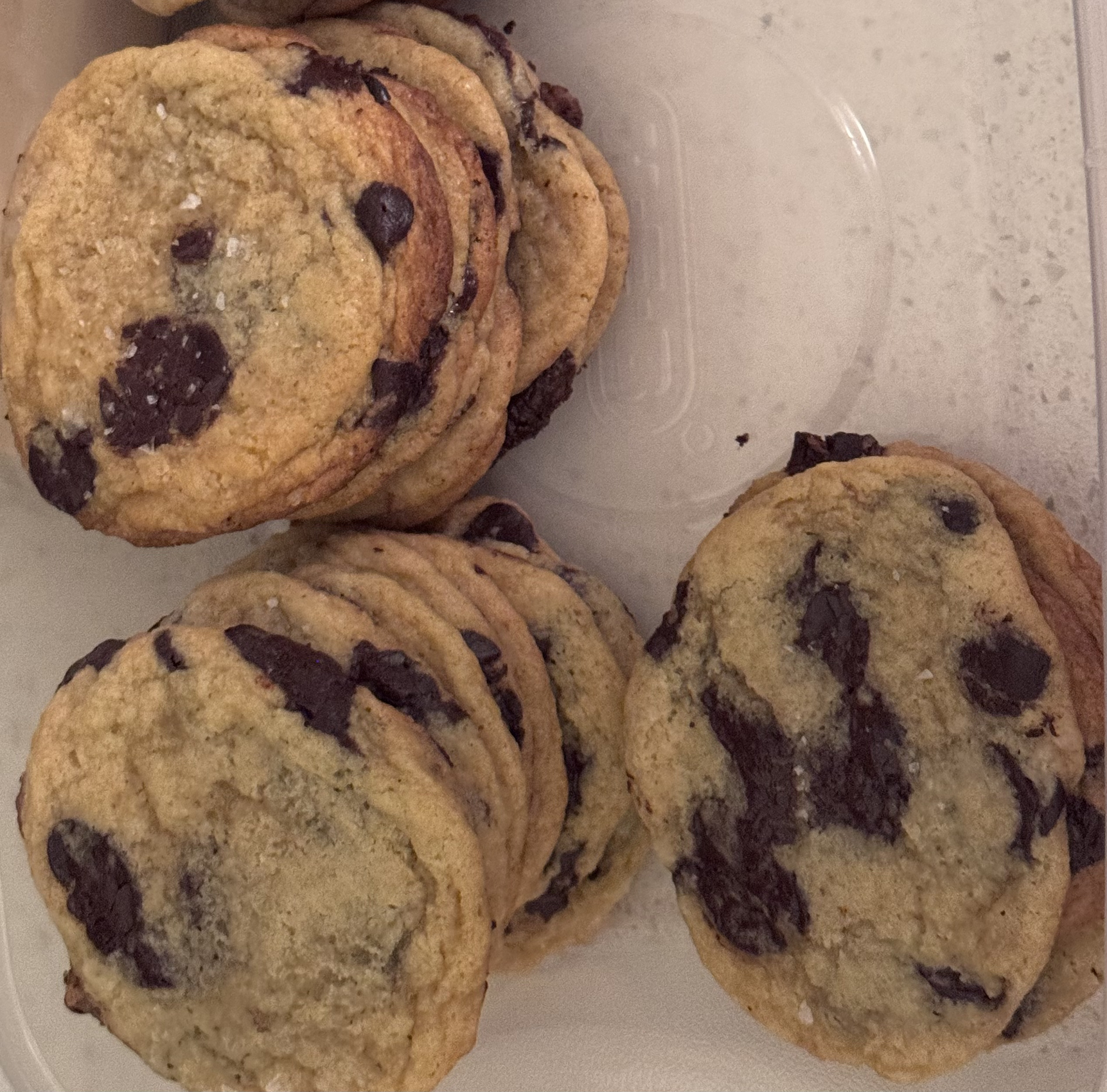 Untitled design (2).png