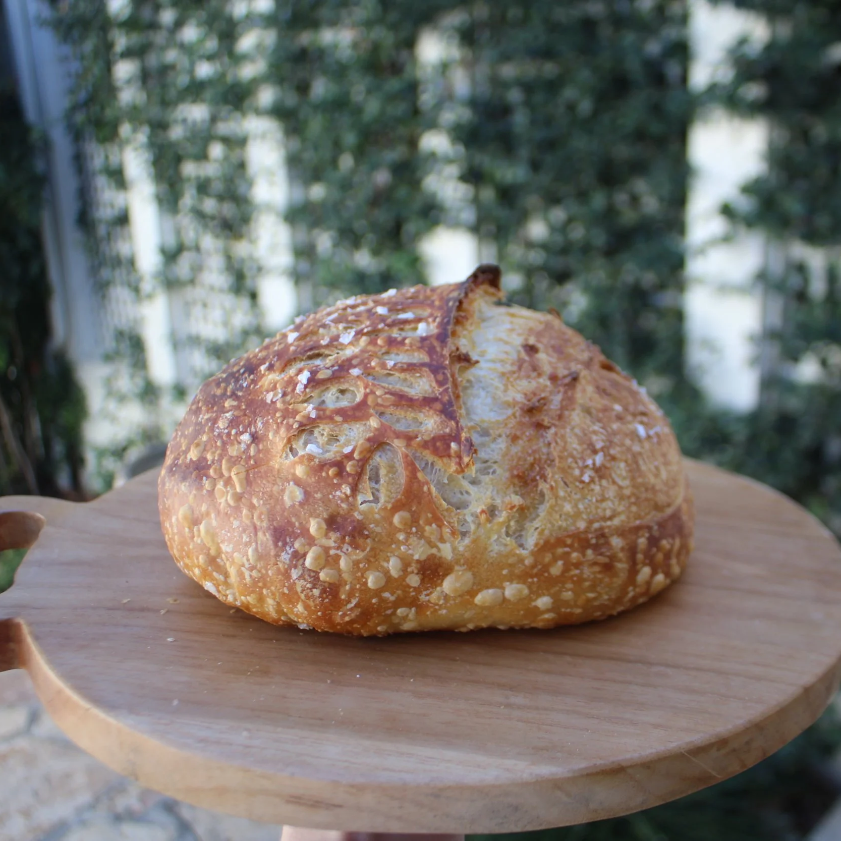 The Original Sourdough Loaf