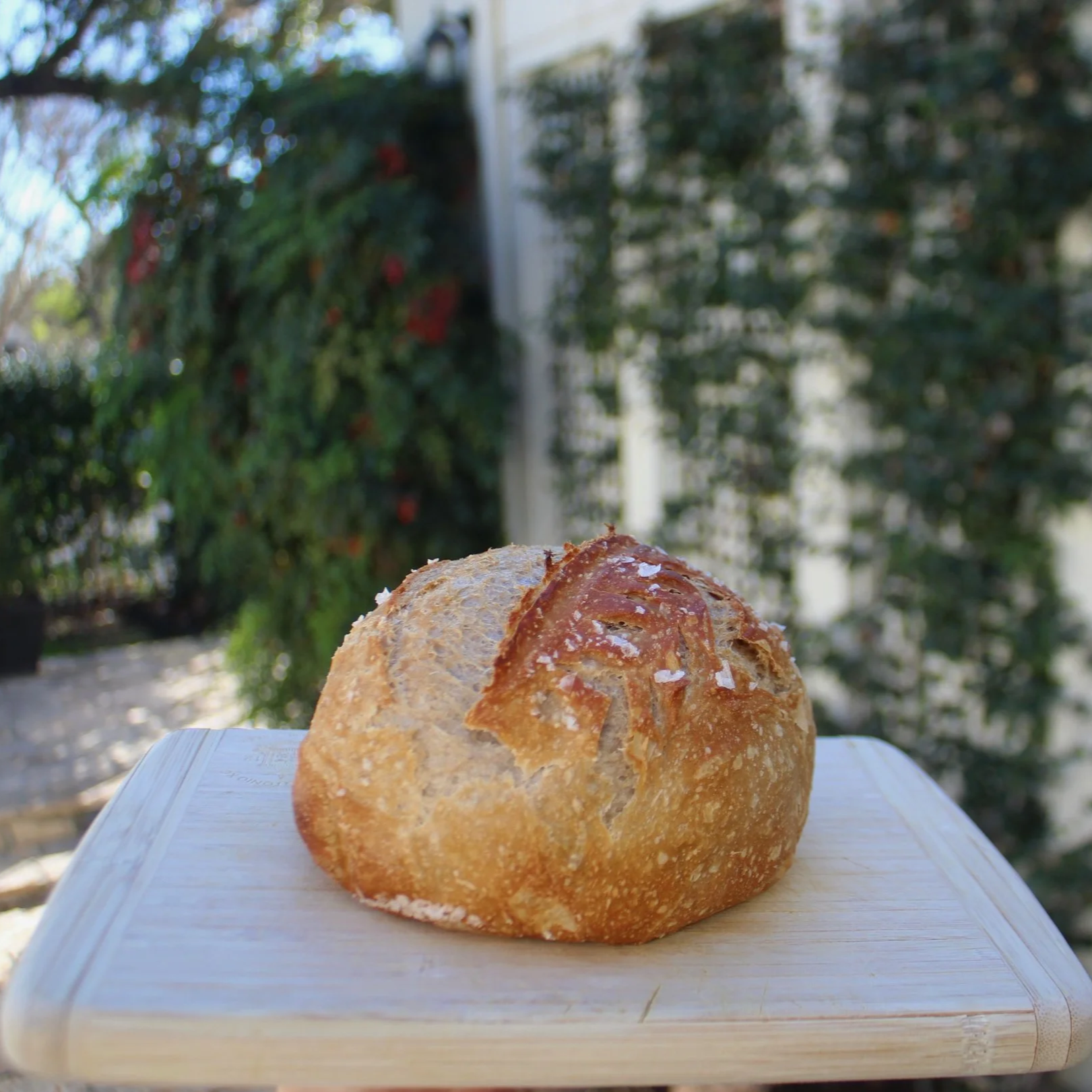 The Organic Mini Sourdough Loaf