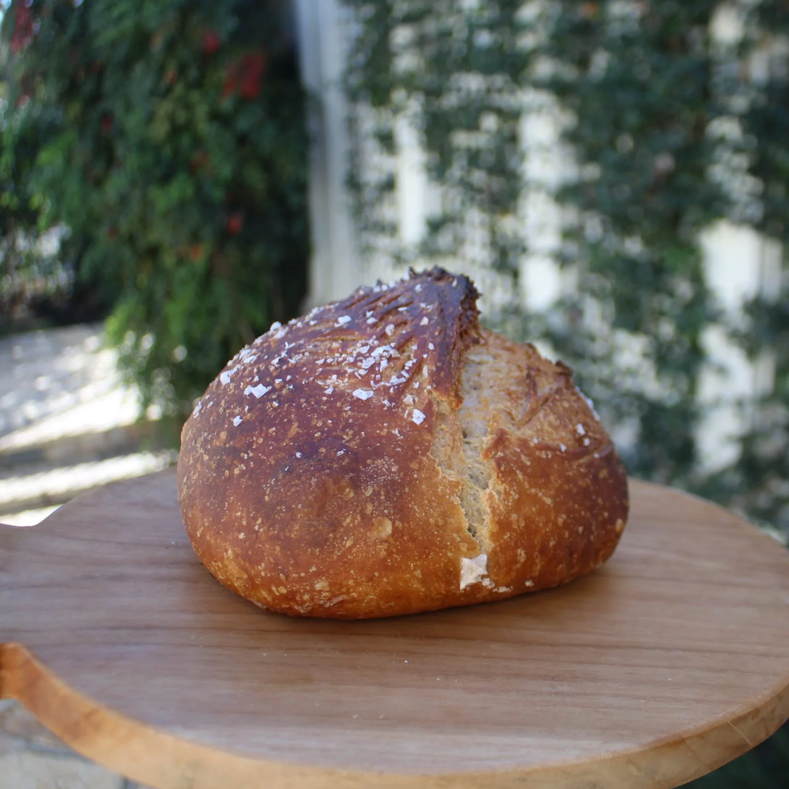 The Organic Sourdough Loaf