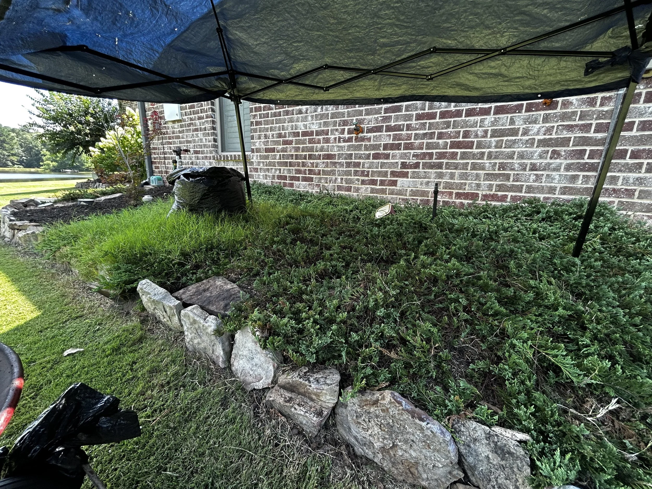 A backyard garden bed edged with large rocks, surrounded by green grass, under a small canopy or tent, with a brick house wall in the background, and various gardening tools and supplies nearby.