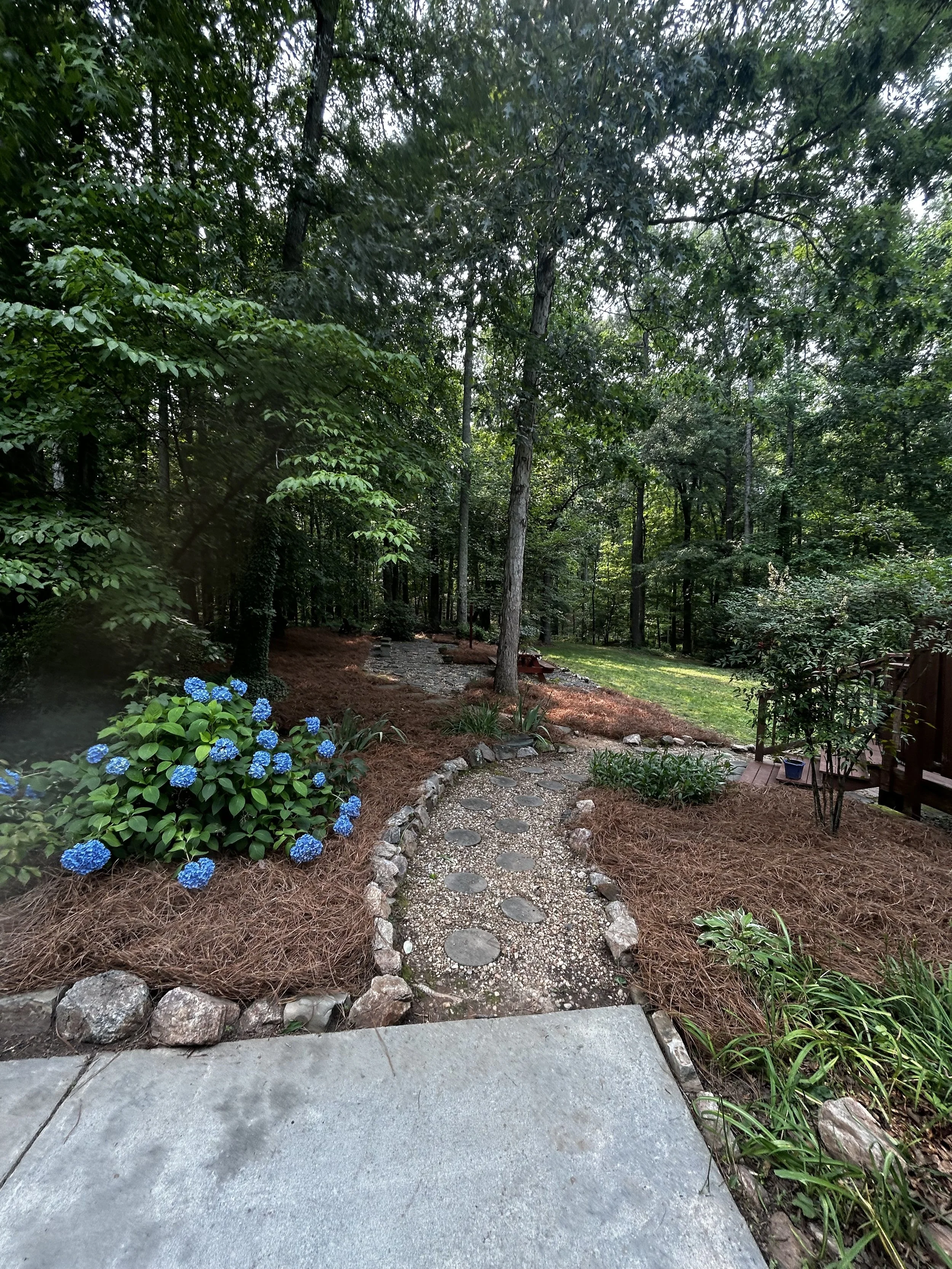 A backyard garden with a curved stone and gravel pathway, surrounded by green plants, bushes, and tall trees, with a sunny sky overhead.