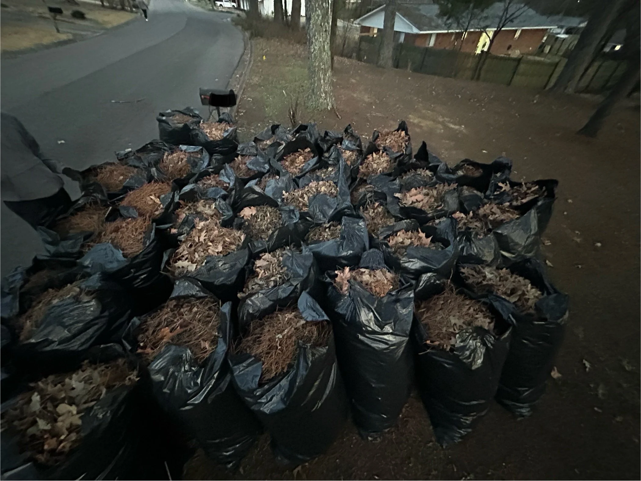 A pile of black trash bags filled with fallen leaves outside on a sidewalk near a street and trees, with a fence and houses in the background.
