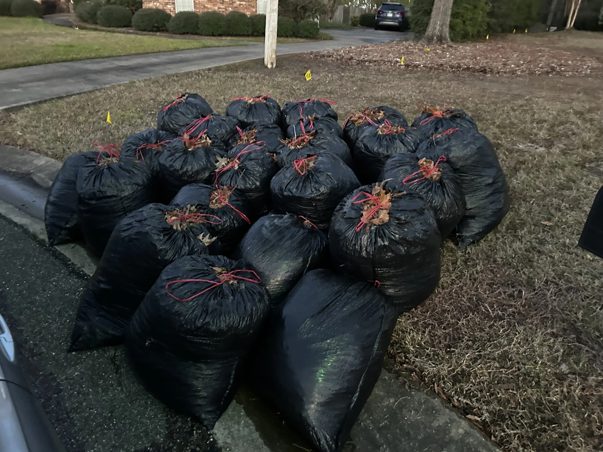 A pile of black trash bags tied with red strings on the side of a street, with grass and bushes in the background.