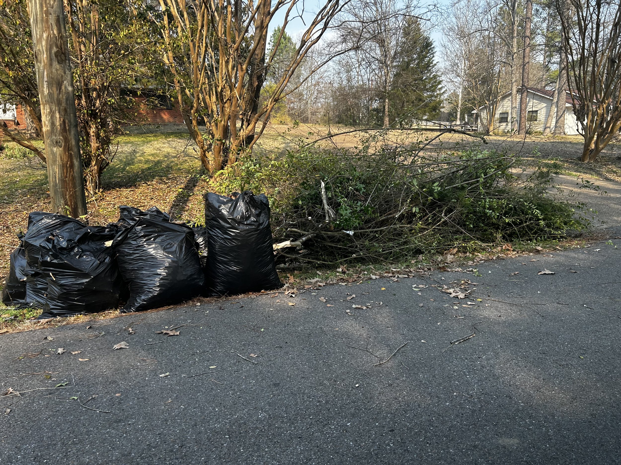 Yard waste trash bags and a pile of cut branches and shrubbery on the side of a street in a residential neighborhood.