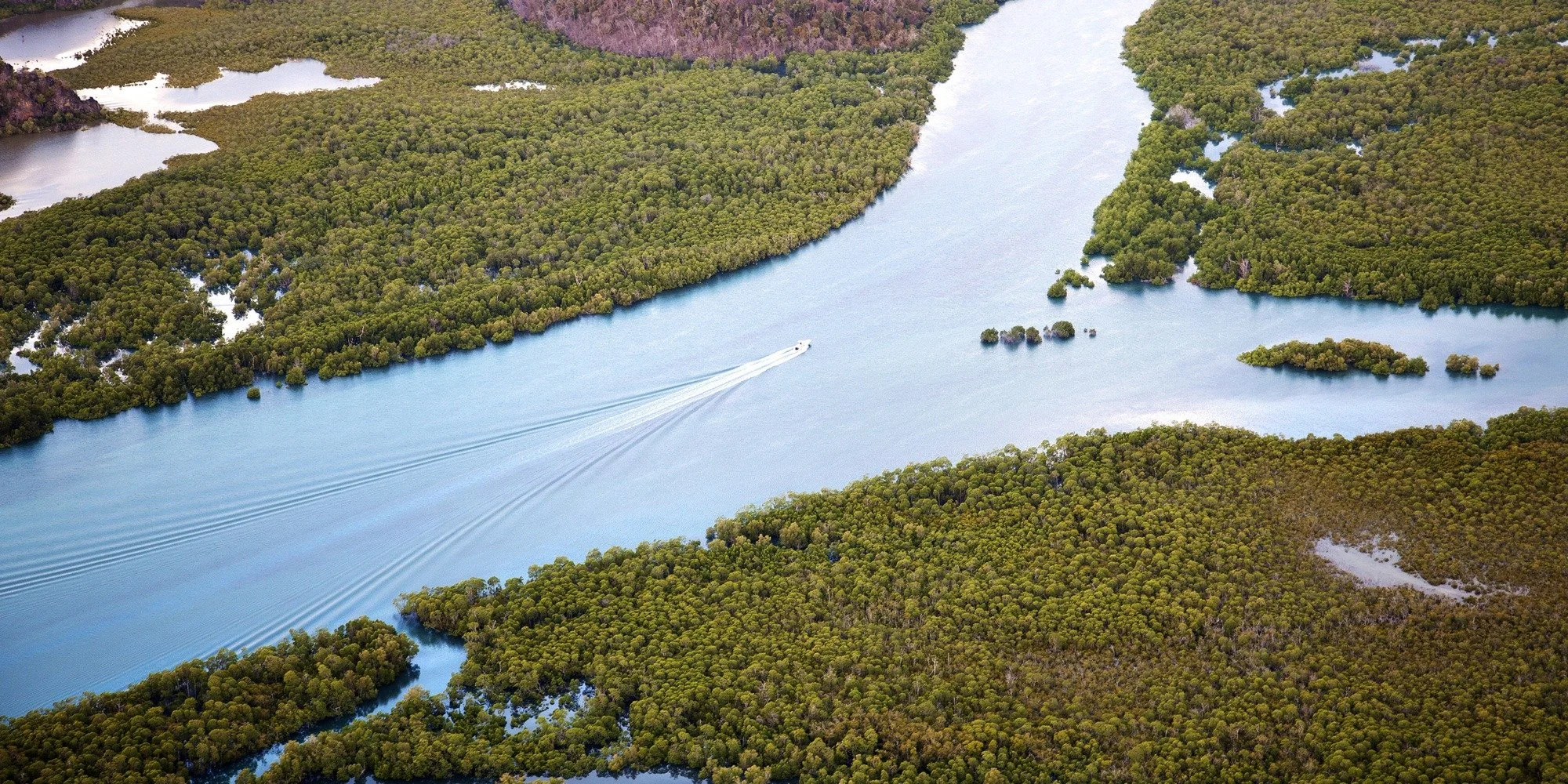 An aerial view of a river winding through a lush green mangrove forest, with a boat leaving a wake in the water.