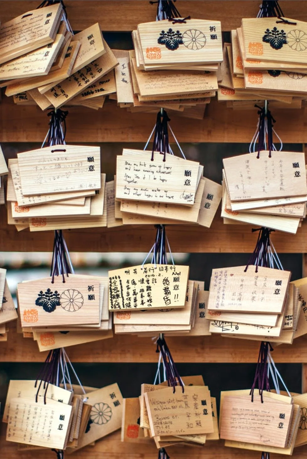 Multiple wooden ema plaques with handwritten messages hang on black and purple strings at a Japanese shrine.