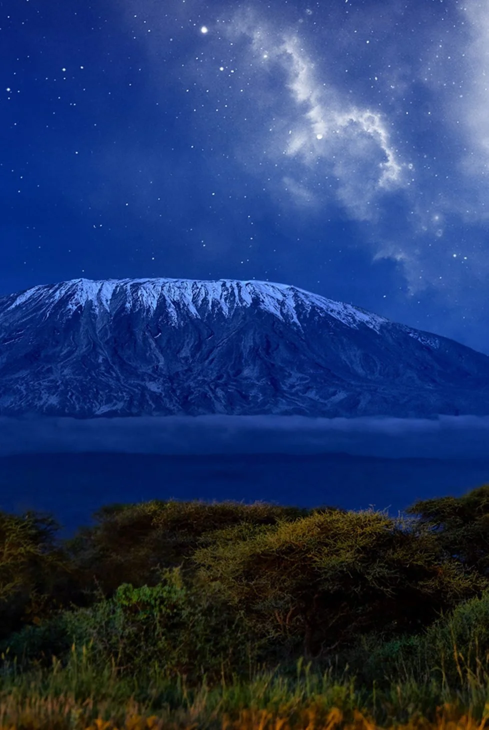 Snow-capped mountain under a starry night sky with clouds and the Milky Way, and green bushes in the foreground.