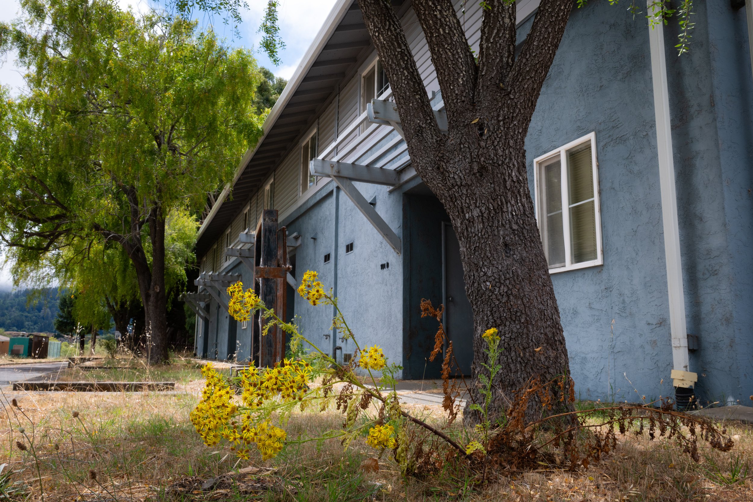 20250816 CLAM jbl 0665.jpg